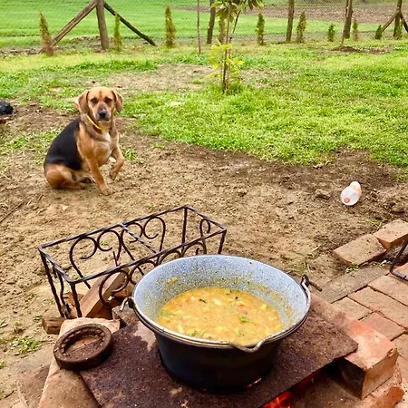 Hacienda 別荘 センテシュ