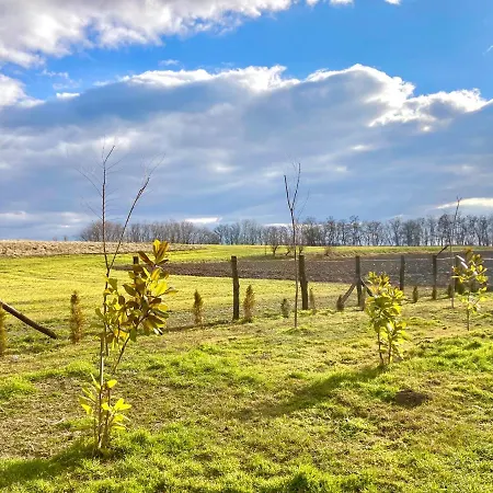 Hacienda 別荘 センテシュ