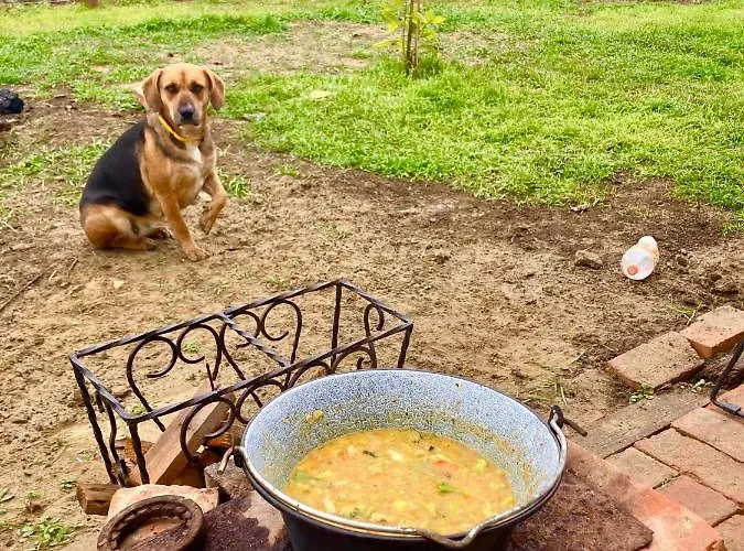 Hacienda Tatil Evi Szentes