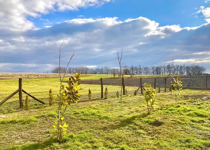 Hacienda Tatil Evi Szentes